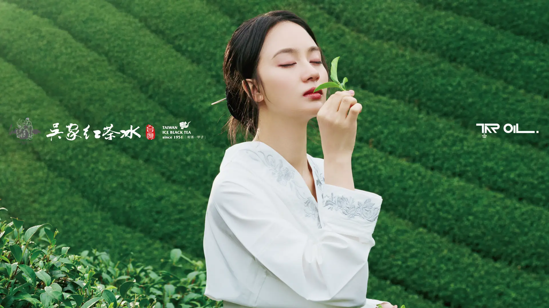 吳家紅茶冰:雲霧高山青茶形象 專案主視覺